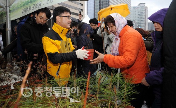 행복한나무 이미지