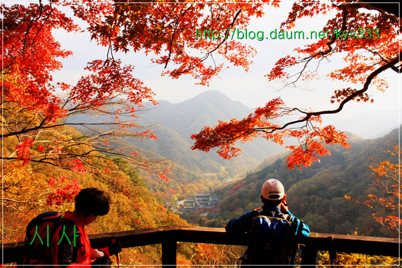 만추의 백양사 아름다운 단풍 2탄...2012. 11월 7일