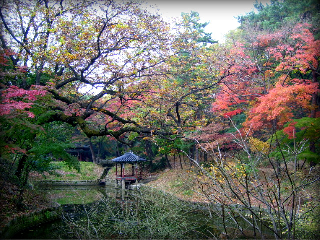 11108E214AF5B574079005