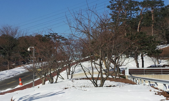 정이유통 이미지