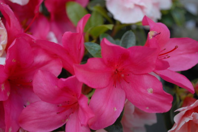 113004375170E0B22A6193