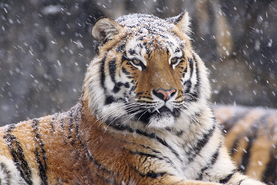 125F180C4983B5233B350B