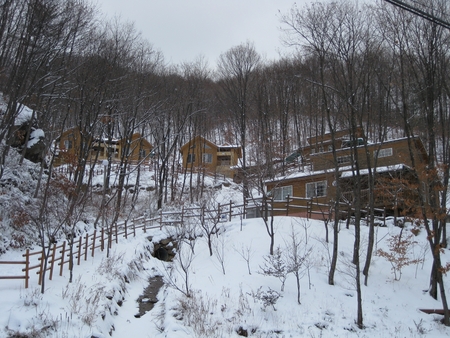 민주지산자연휴양림 이미지