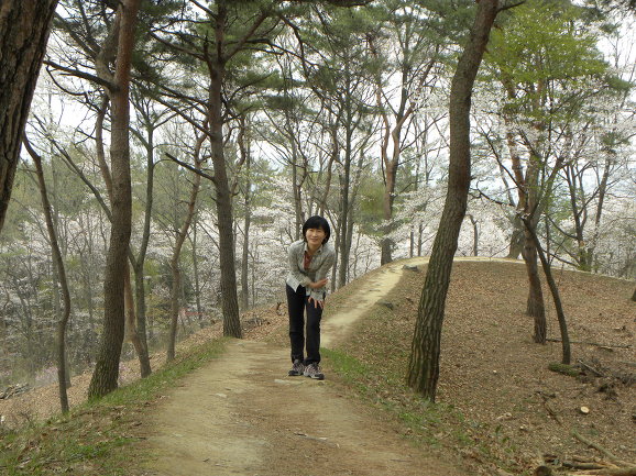 자두자두 이미지