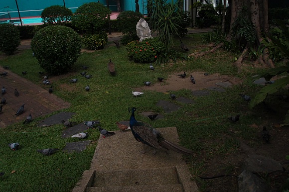 13713F42501FC97A05C53E