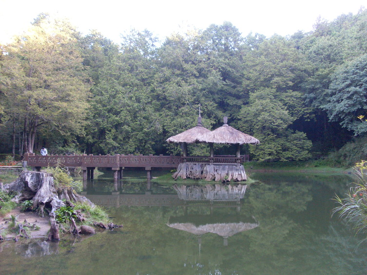 아리산 이미지