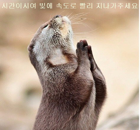 삼겹파티 이미지