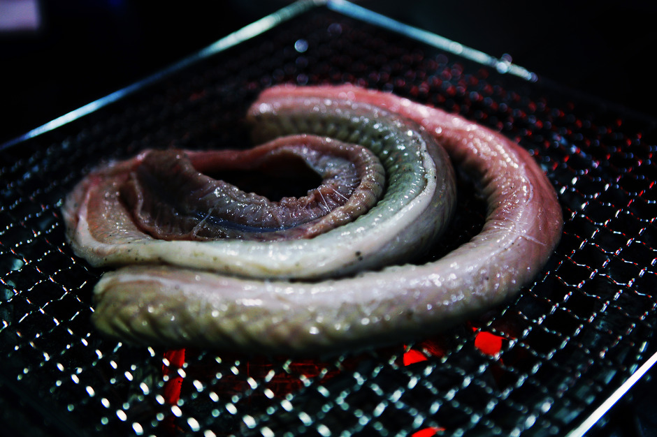 [인천맛집 / 구월동맛집] 허벌난숯불꼼장어 - 혐오식품매니아가 되다