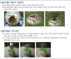 (주)더함 이미지