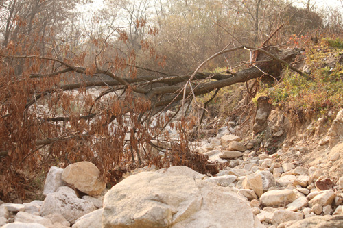 軍훈련장은 쓰레기 천국인가?