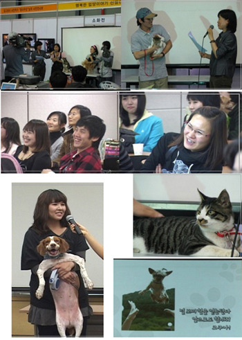 유기동물 행복한 입양이야기를 들려주세요...