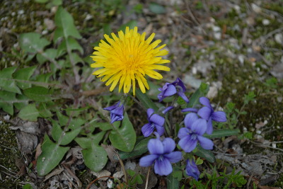 177AC2375170DF9905D778