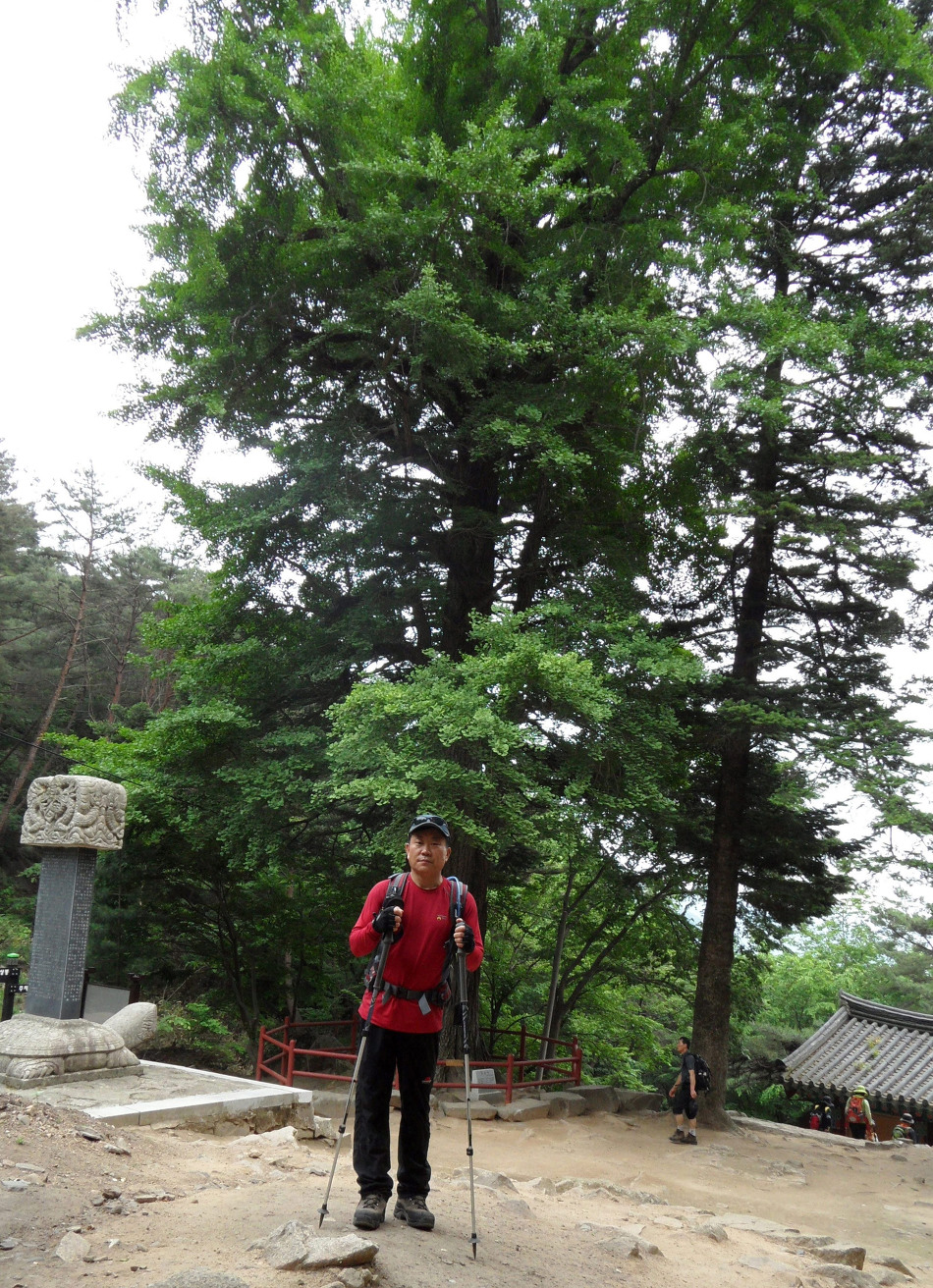 마루2011 이미지