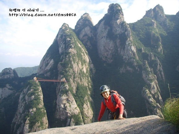 그루터기 이미지
