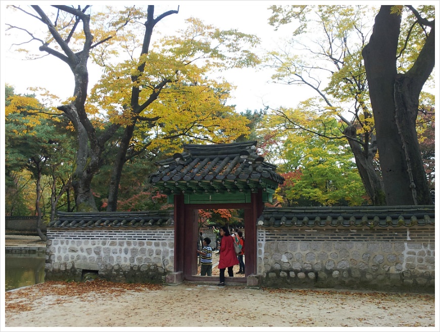 [서울여행 가볼만한 곳] 서울 살이 30년 만에 처음 갔던 창덕궁 후원. 비원의 가을 풍경