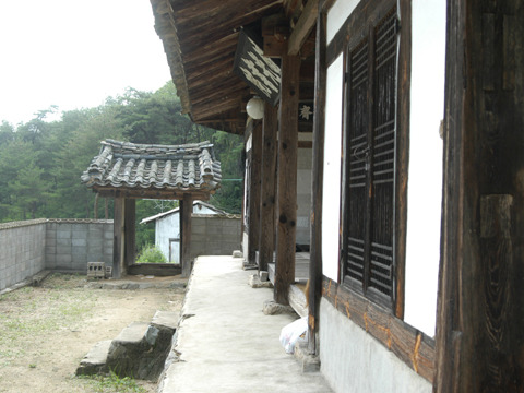 경광 이미지