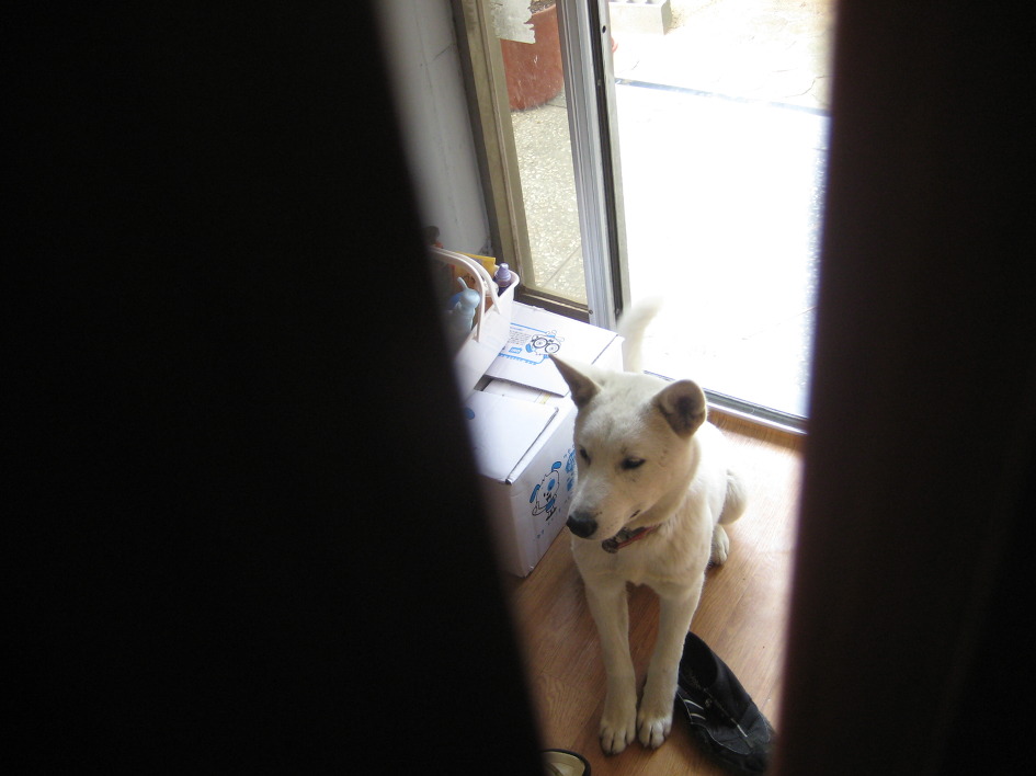 백호야 백호야 우리 백호야~~~~~~~