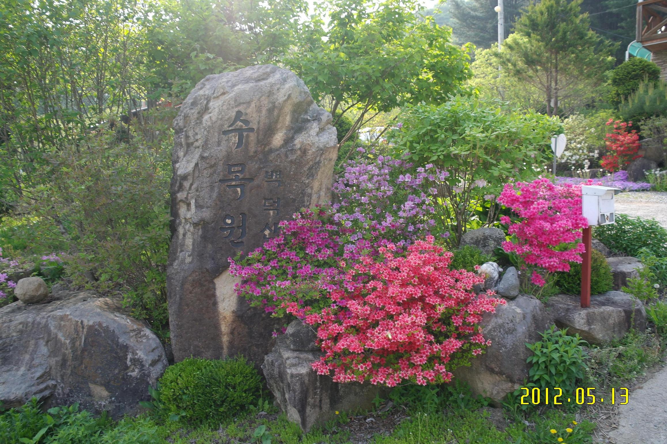 블로그 이미지