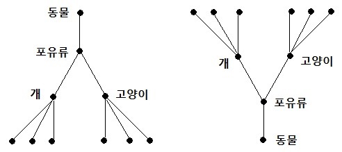 외연과 내연의 비대칭성: 집합론적 해석