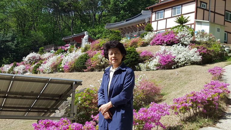 양평 불광산 정토사에 초파일 등을 달면서
