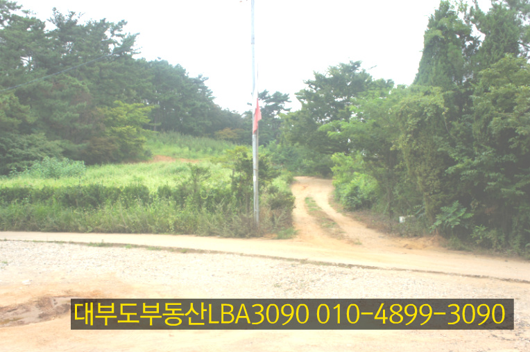 소나무가든 이미지