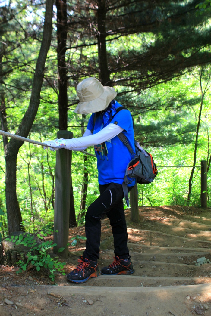 서울 우면산 산행 / 20170519(금)