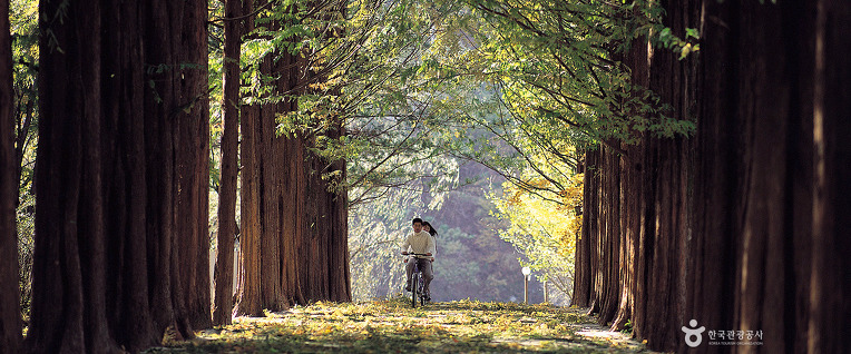 215C4243570517841B0B0C