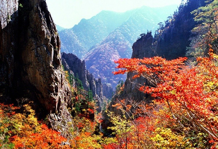 금강산 이미지