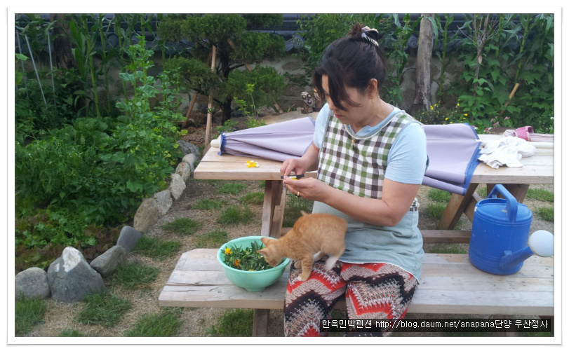 달타냥 이미지