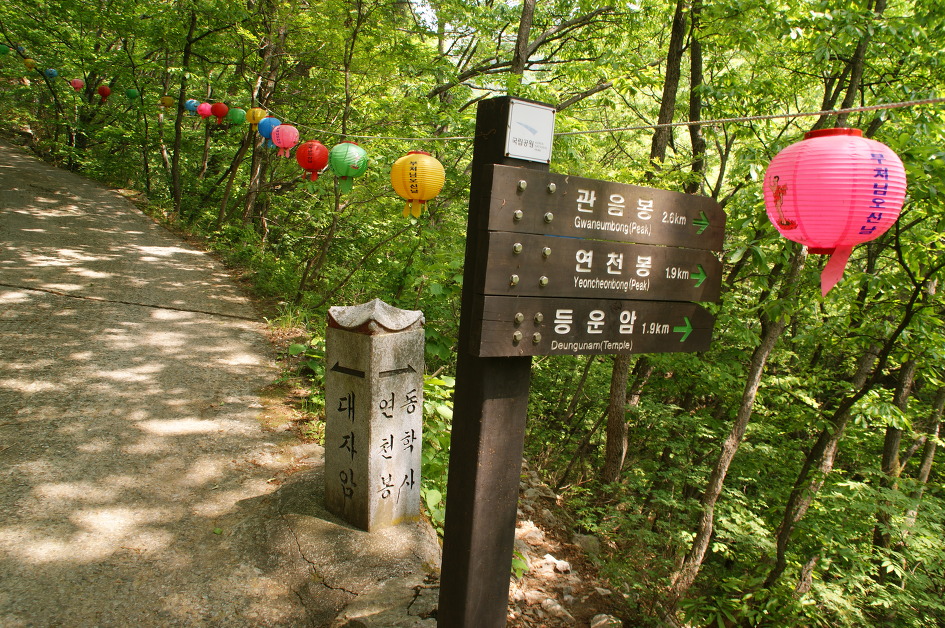 계룡산의 봄(동학사 ~ 갑사 / 15. 5. 9)