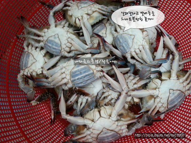 밥도둑 이미지