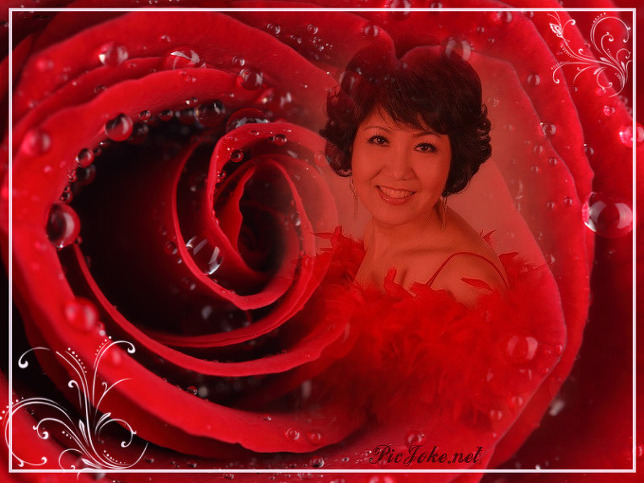 김정은 노래 모음