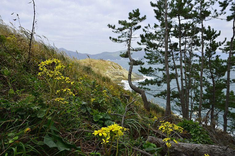2016 바람의언덕