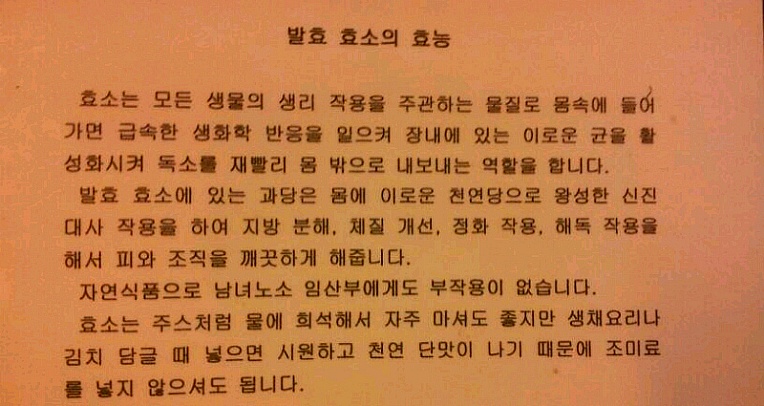 자연식품& 발효 효소 효능