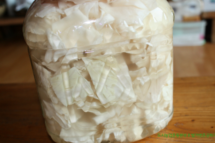 농부가 만드는 자연유기농 양배추 피클