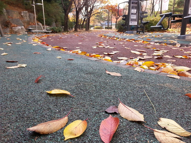 2255214F5603003E12AEAE