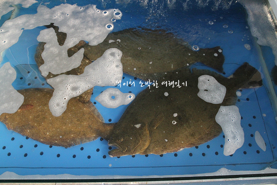 전라도군산횟집 이미지