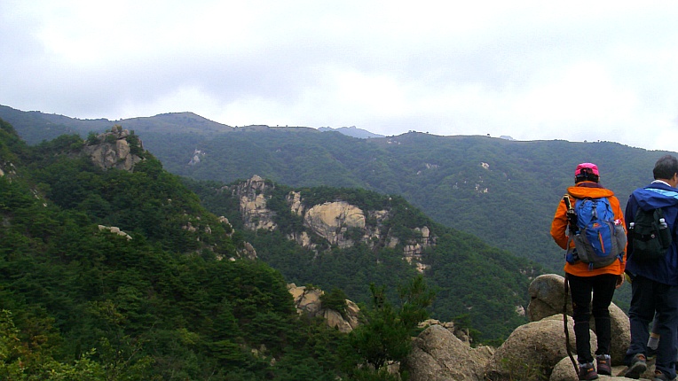 226A3635542BEC822FC499