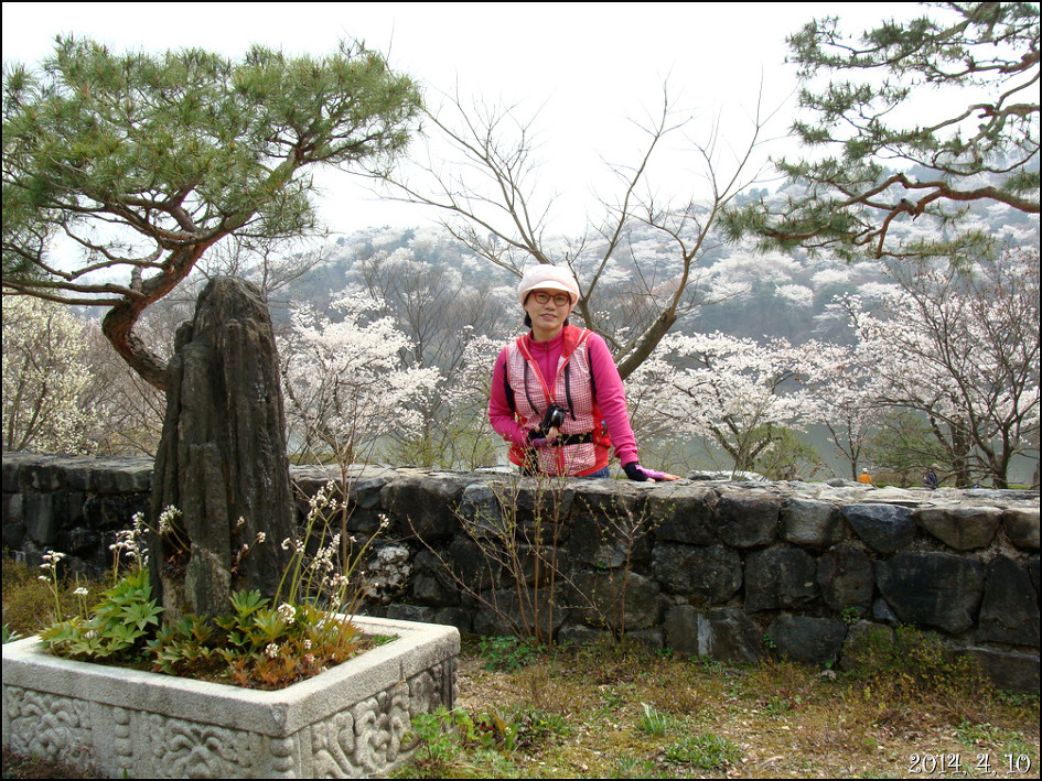 호암 미술관 희원&가실 벚꽃 길에서/2014, 4, 10