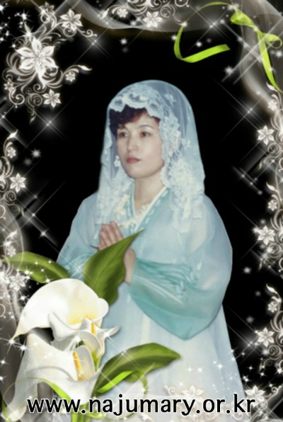 230A065054C5FD900BDB44