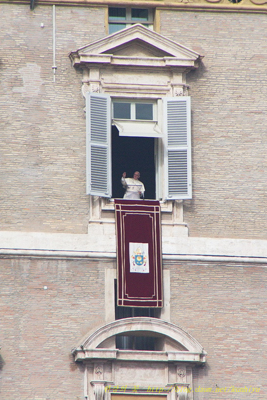 교황님의 강복-한강의 꽃