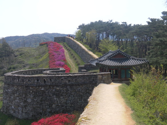 고창문화원 이미지
