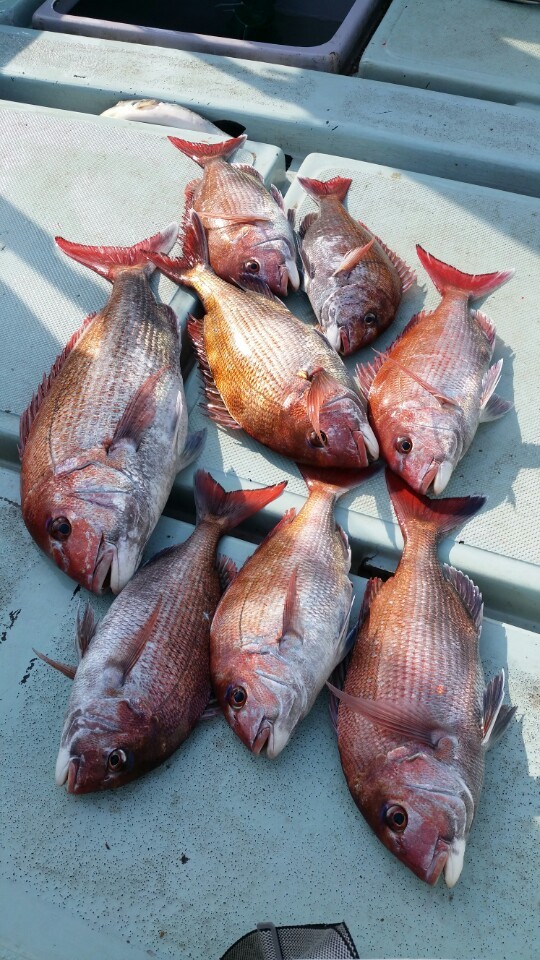 ´õºíŬ¸¯À» ÇϽøé À̹ÌÁö¸¦ ¼öÁ¤ÇÒ ¼ö ÀÖ½À´Ï´Ù