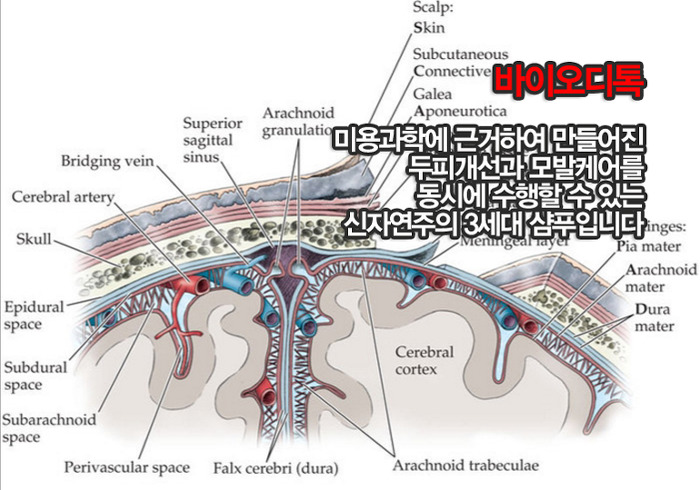 디디톡톡 이미지