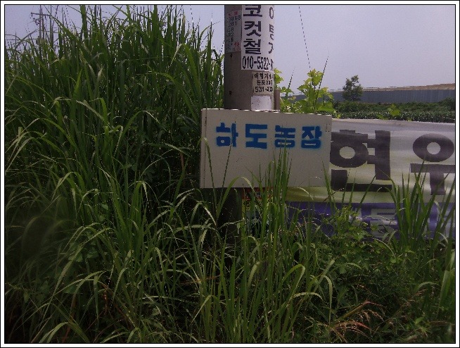 하도가을이네 이미지