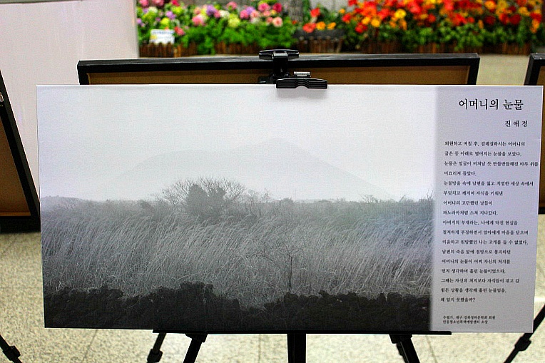 대전청하문학 시와 사진이 만남전 : 어머니의 눈물 /진애경|