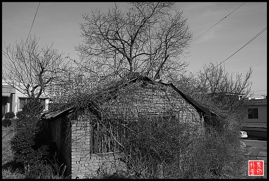 봄이오는 길목에 맞장뜨러 나가는 나쁜남자...