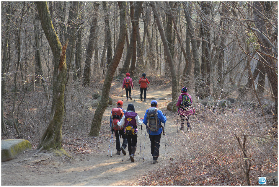 팔공산의 추억을 찾아서(16.2.20) 산림청/인기 백대명산 제34위