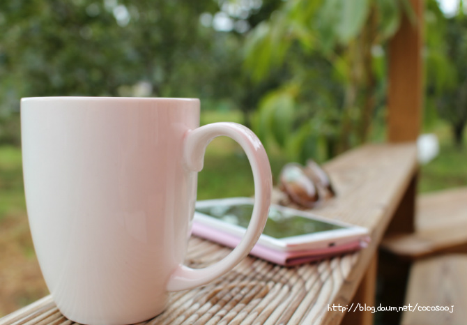 내장산 풍경 이야기...