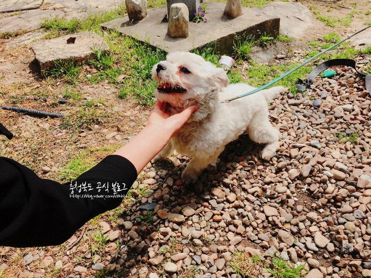 (사진) 충북도청, 충북문화관에 "봄이 왔어요"  